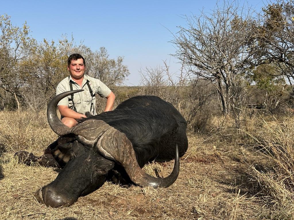Cape buffalo hunting in South Africa with Waidmannsheil Safaris