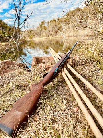 Safari rifle in Waidmannsheil hunting country